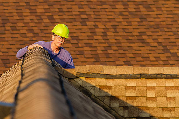 Best Roof Repair Services  in Mount Olive, AL
