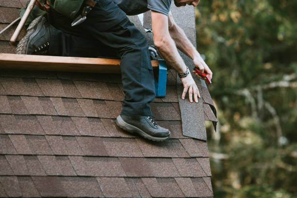 Best Storm Damage Roof Repair  in Mount Olive, AL
